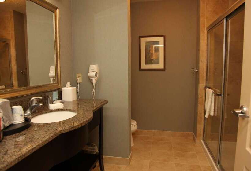 هتل Hampton Inn & Suites Carlsbad