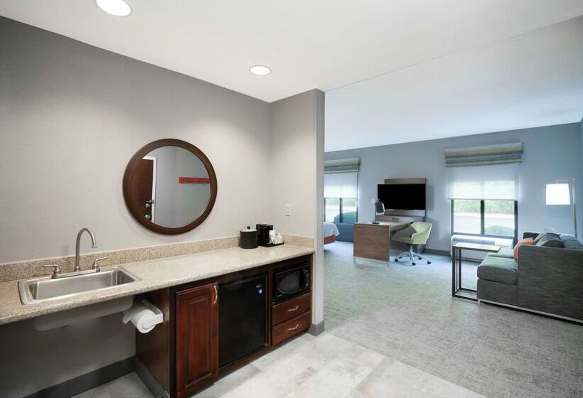 בית מלון כפרי Hampton Inn Suites Opelika I85 Auburn Area