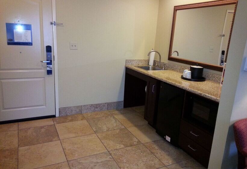 ホテル Hampton Inn & Suites Sevierville @ Stadium Drive