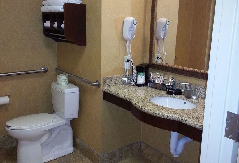 ホテル Hampton Inn & Suites Sevierville @ Stadium Drive