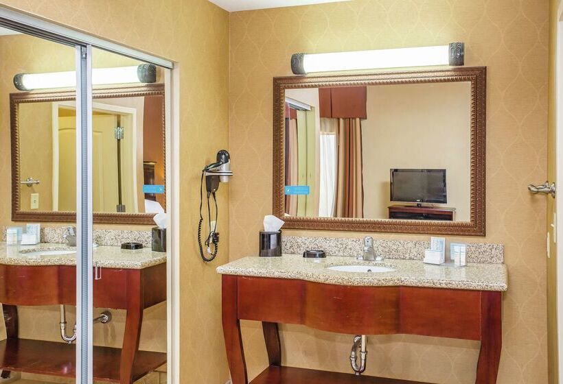 ホテル Hampton Inn & Suites Sevierville @ Stadium Drive