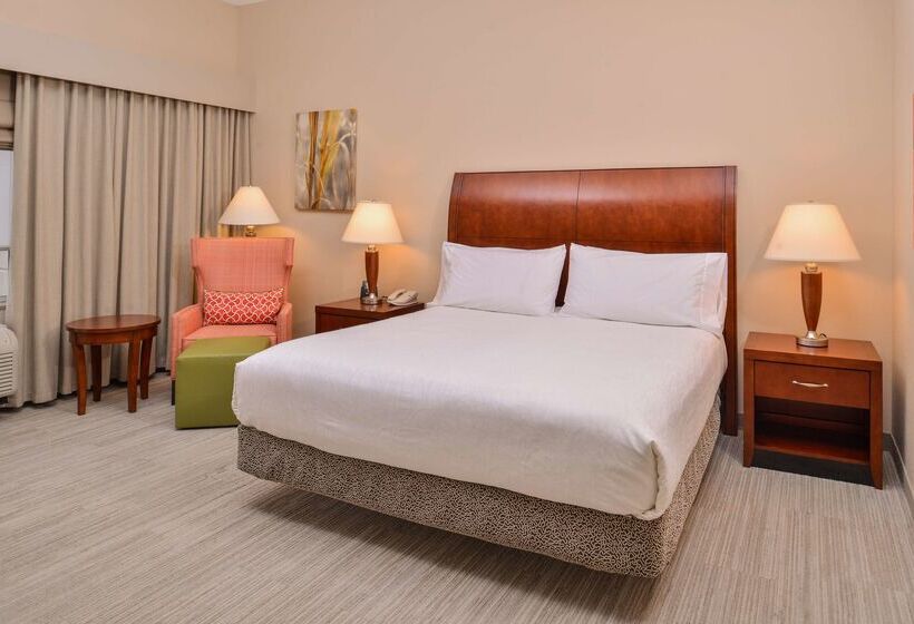 هتل Hilton Garden Inn Dover