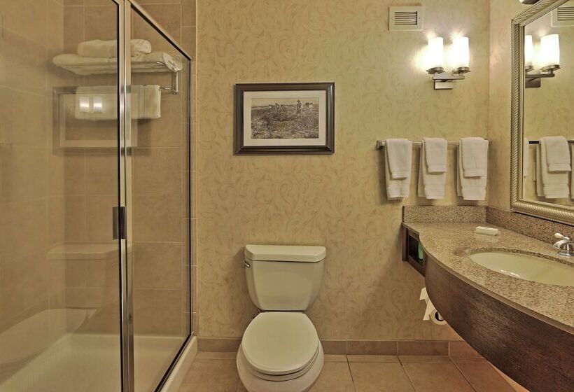 هتل Hilton Garden Inn Las Cruces