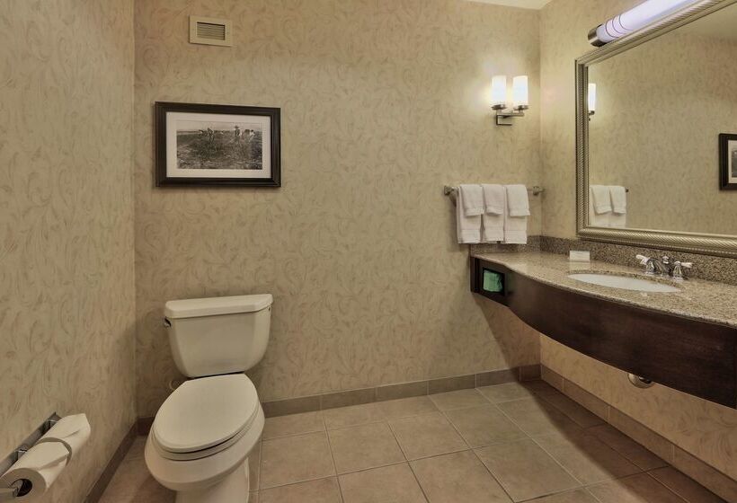 هتل Hilton Garden Inn Las Cruces