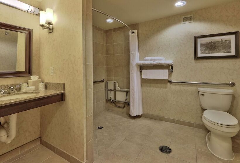 هتل Hilton Garden Inn Las Cruces