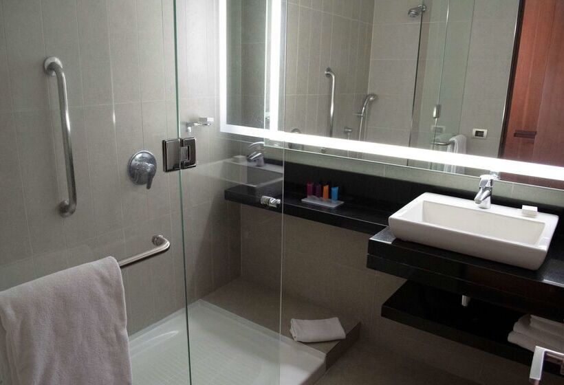 هتل Hilton Garden Inn Santiago Airport