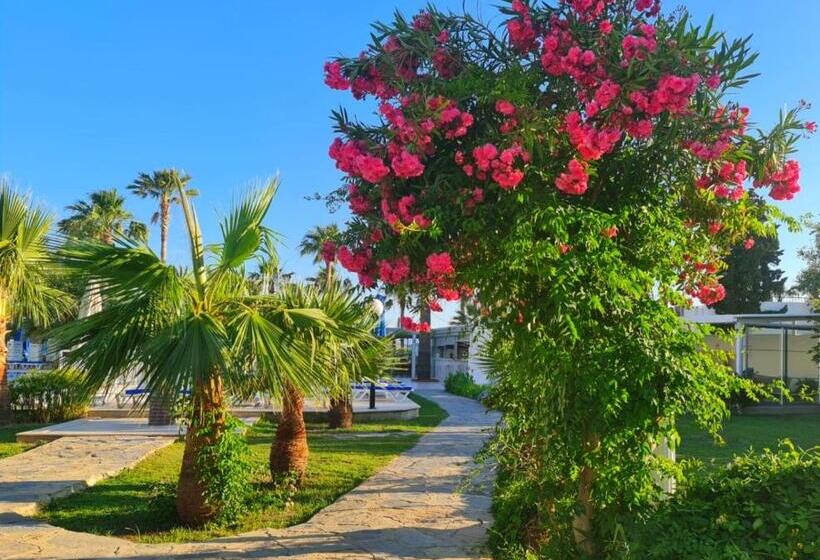 בית מלון כפרי Nagi Beach