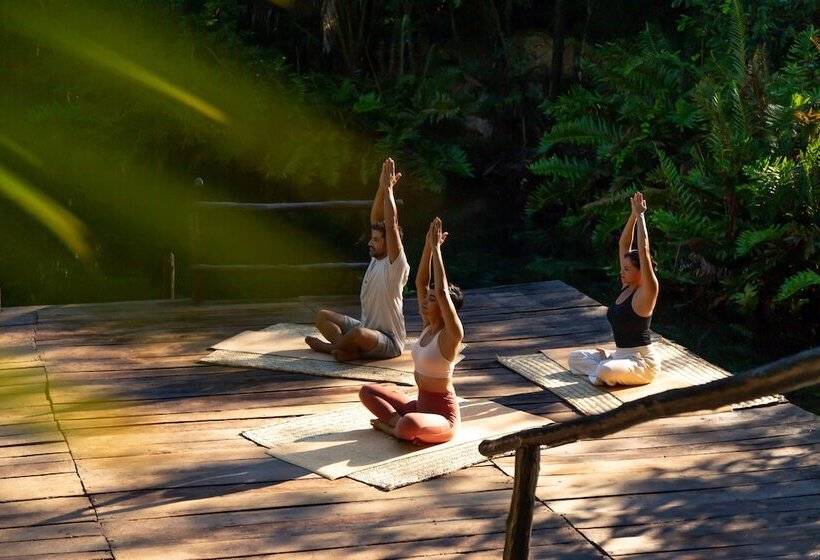בית מלון כפרי Paradisus Playa Del Carmen   Riviera Maya   All Inclusive