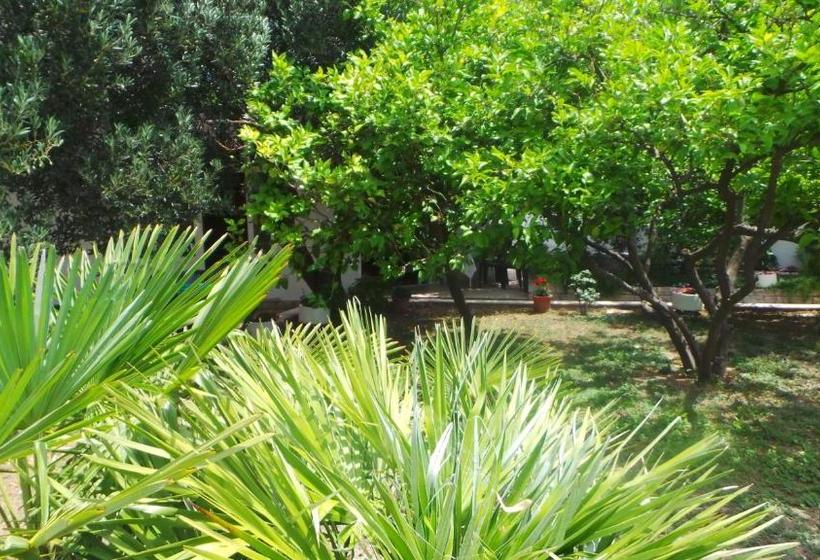 בית מלון כפרי Pension Vice