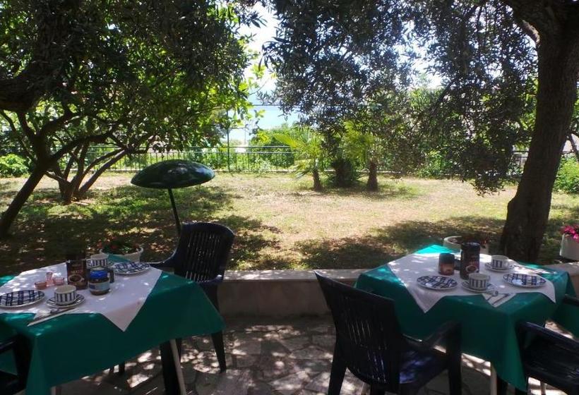 בית מלון כפרי Pension Vice