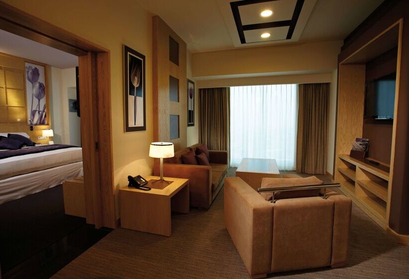 Hotelli Riu Plaza Guadalajara