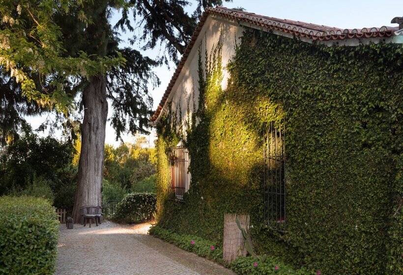Imani Country House