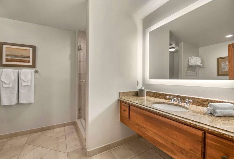 渡假胜地  Mountain Lodge Breckenridge
