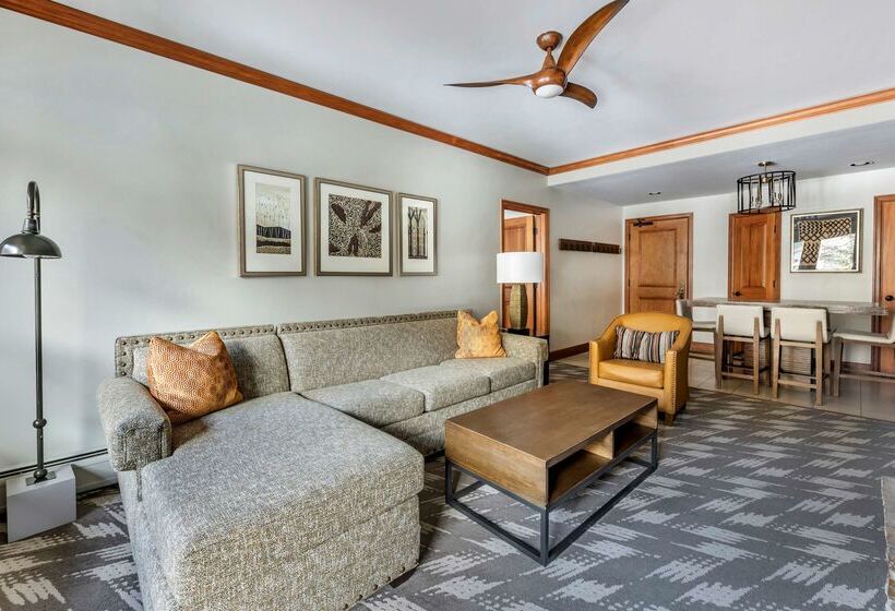 渡假胜地  Mountain Lodge Breckenridge