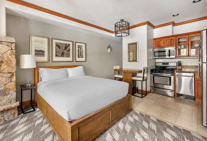 渡假胜地  Mountain Lodge Breckenridge