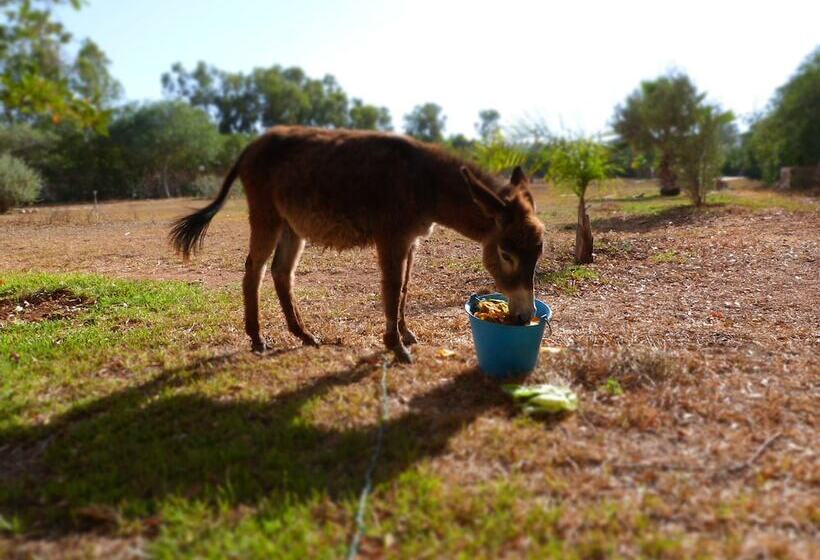 Riad Les Deux Mondes