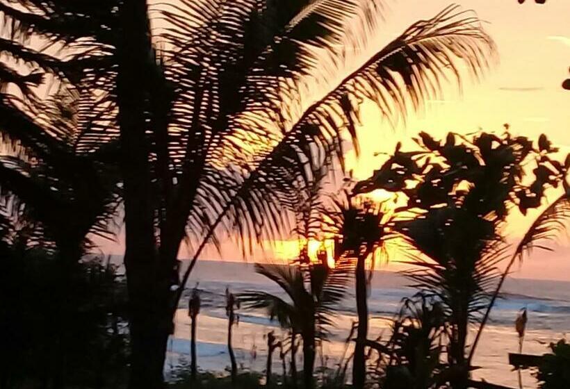 فندق صغير Castaway Surf Retreat 1