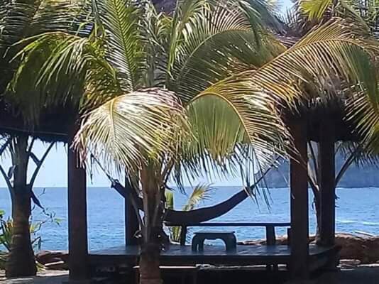 فندق صغير Castaway Surf Retreat 1