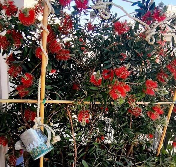 تختخواب و صبحانه Le Mille E Una Puglia   Stories And Experiences