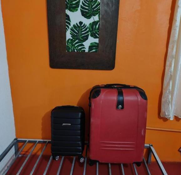 تختخواب و صبحانه Perto Do Aeroporto De Salvador   Dona Pitanga Hostel