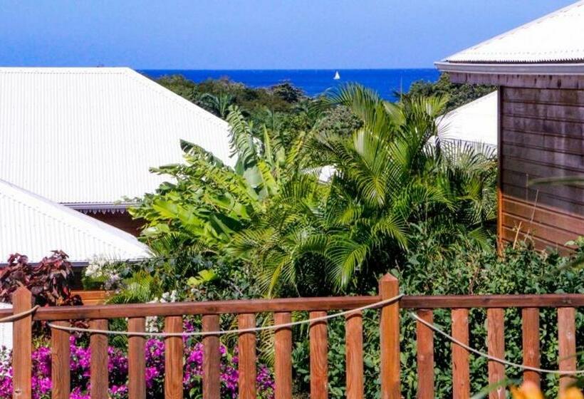 بنسيون Amour Deshaies