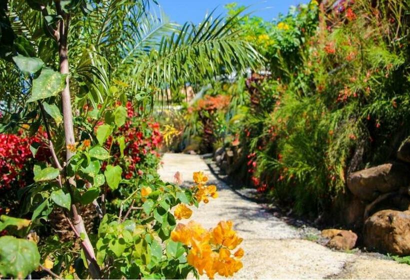 بنسيون Amour Deshaies