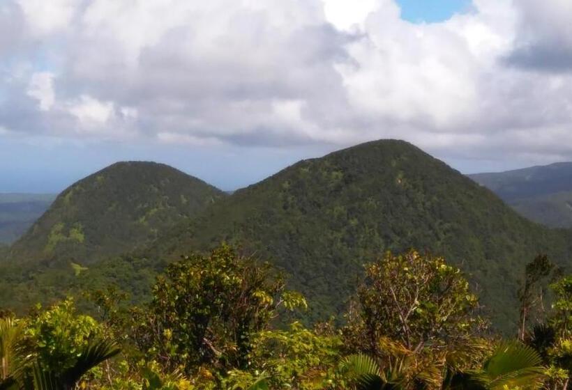 بنسيون Amour Deshaies