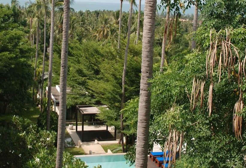 هتل The Park Samui