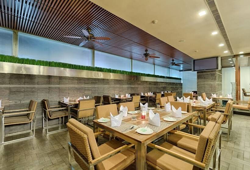 Quality Hotel Dv Manor