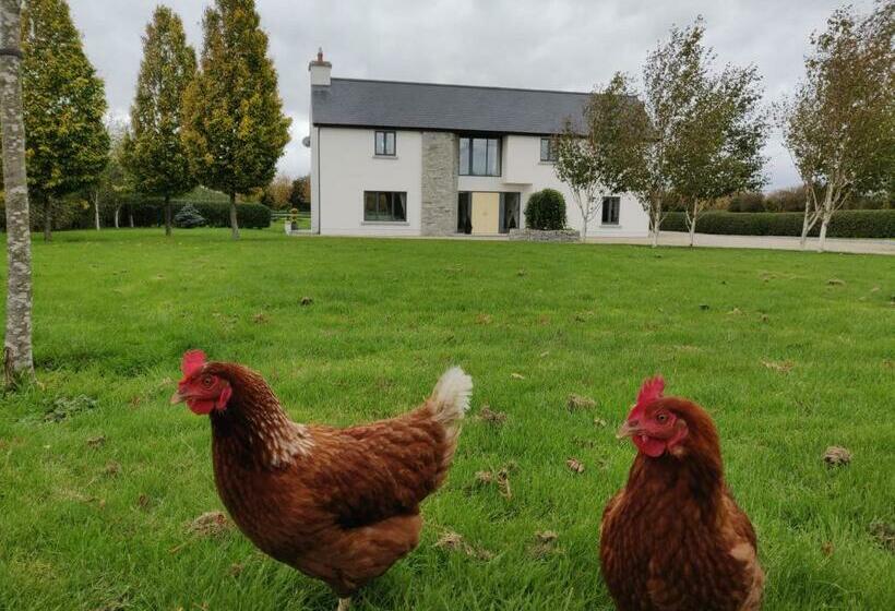 住宿加早餐  Brona Dempsey