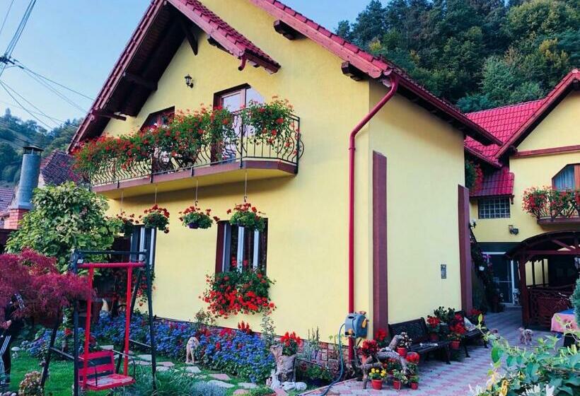 ペンション Ika House