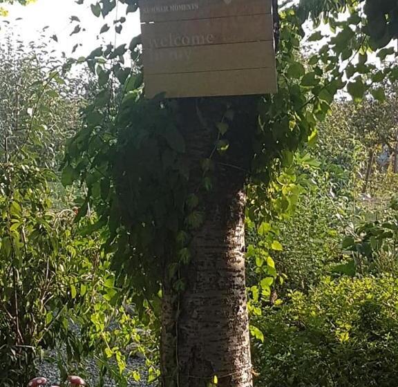 פנסיון Casa Magnolia