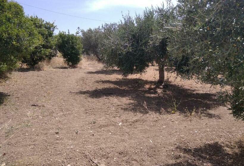 تختخواب و صبحانه Capinera