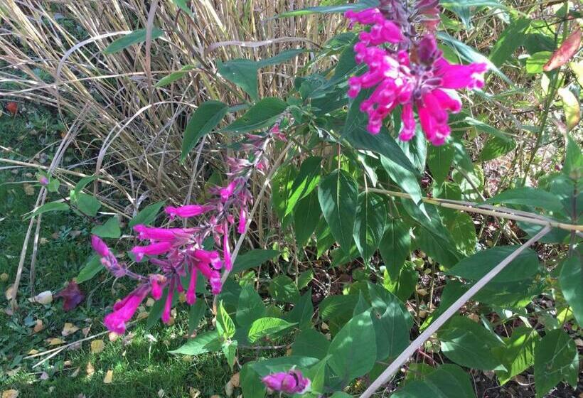 مبيت وإفطار Chambres D Hotes Au Pays De Valencay En Berry