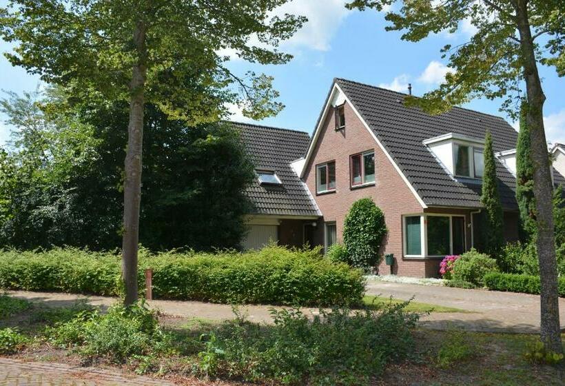 ベッドアンドブレックファースト Mango House Homestay