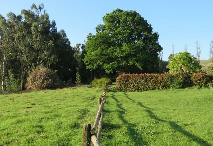 Bed and Breakfast Old Inchgarth Farmstay