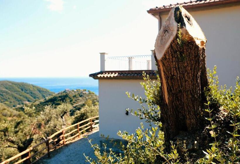 酒店 Country House “ Il Mandorlo”