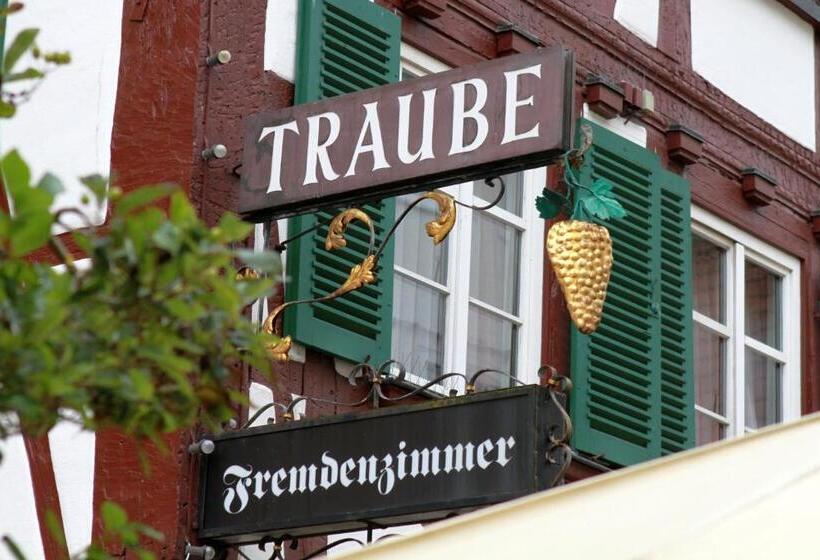 호텔 Traube
