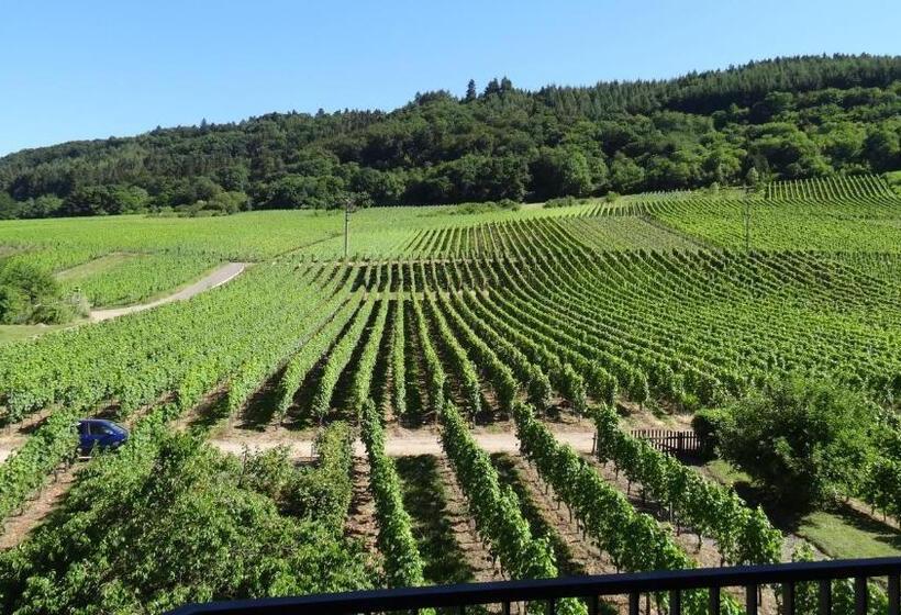 بنسيون Haus Weingarten Appartements Zimmer