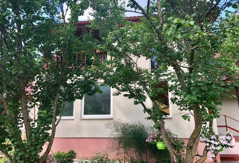 پانسیون Bierini Park Studio