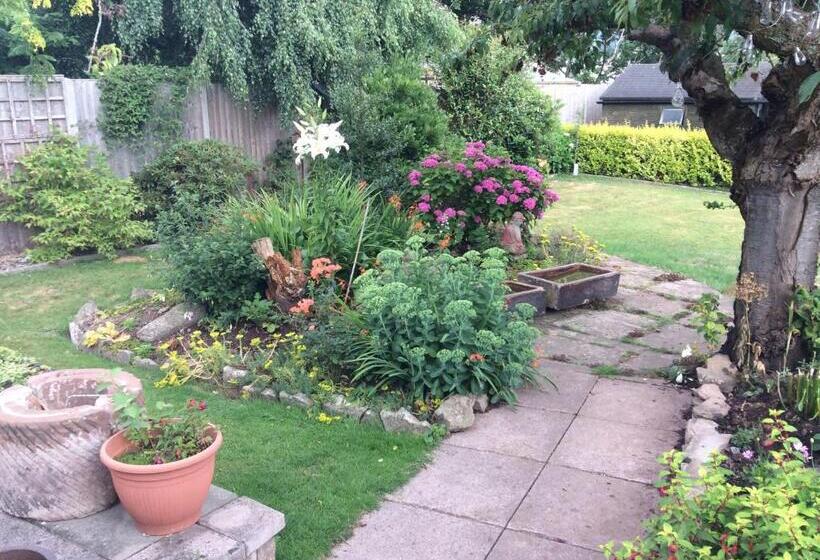 بنسيون The Firs At Hay On Wye B&b