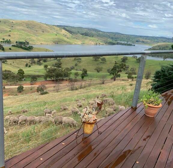 Amazing Views Pet Friendly Bed And Breakfast