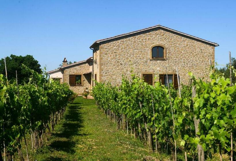 B&b Vallecupa