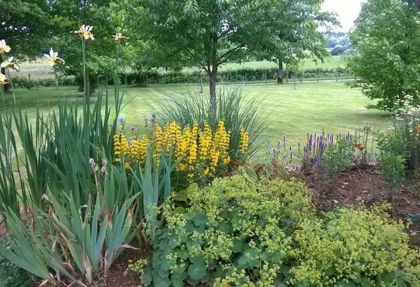 צימר Maison Maton