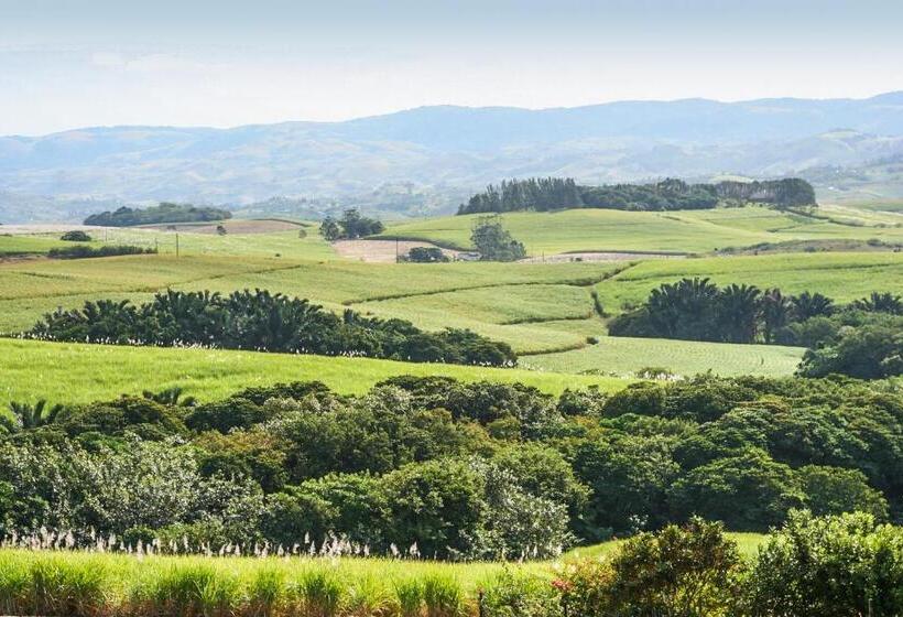 Bed and Breakfast Mtunzini Bnb