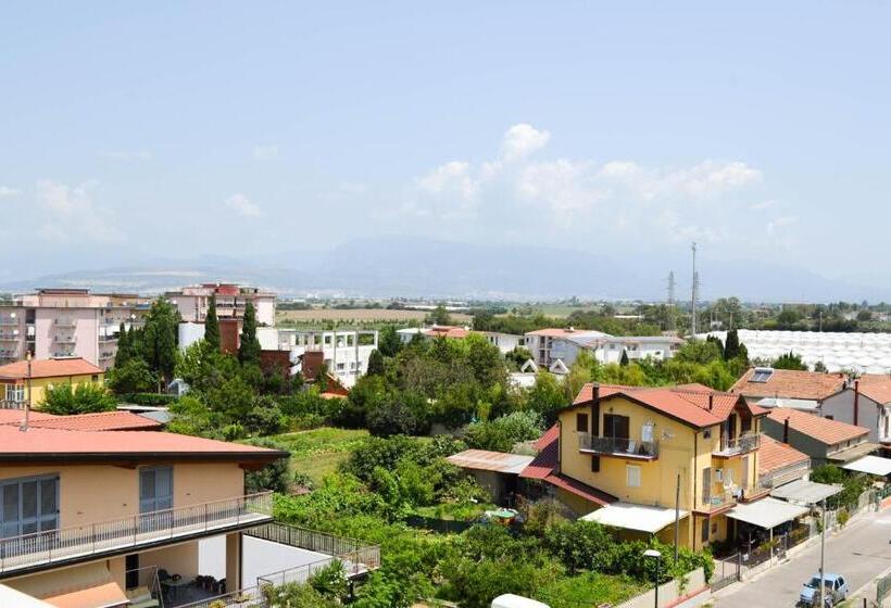 تختخواب و صبحانه Walter