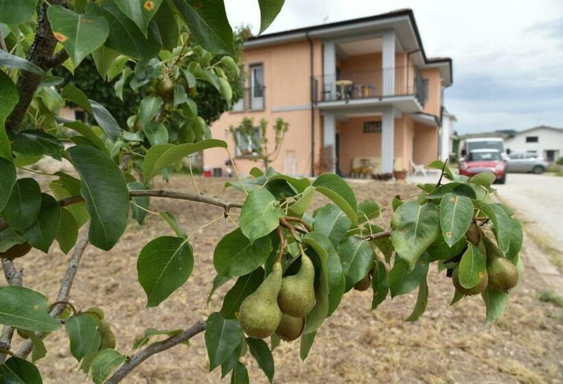 ペンション Natour L Ostello Per I Camminatori