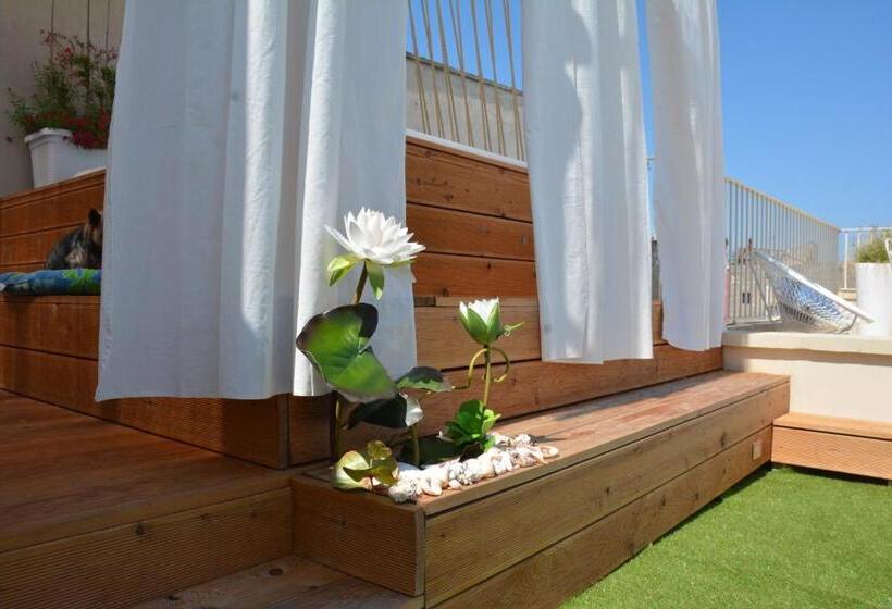 פנסיון Vico Degli Ebrei   Rooftop Jacuzzi   Self Check In