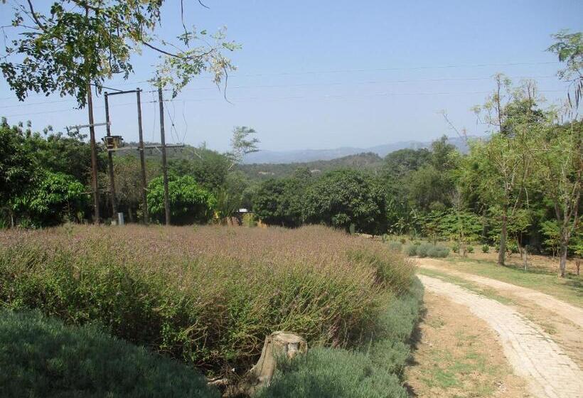 בית מלון כפרי Leopard Tree Retreat