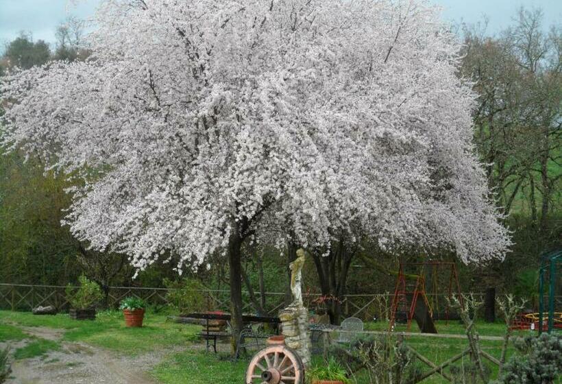 בית מלון כפרי Locanda Delle Noci